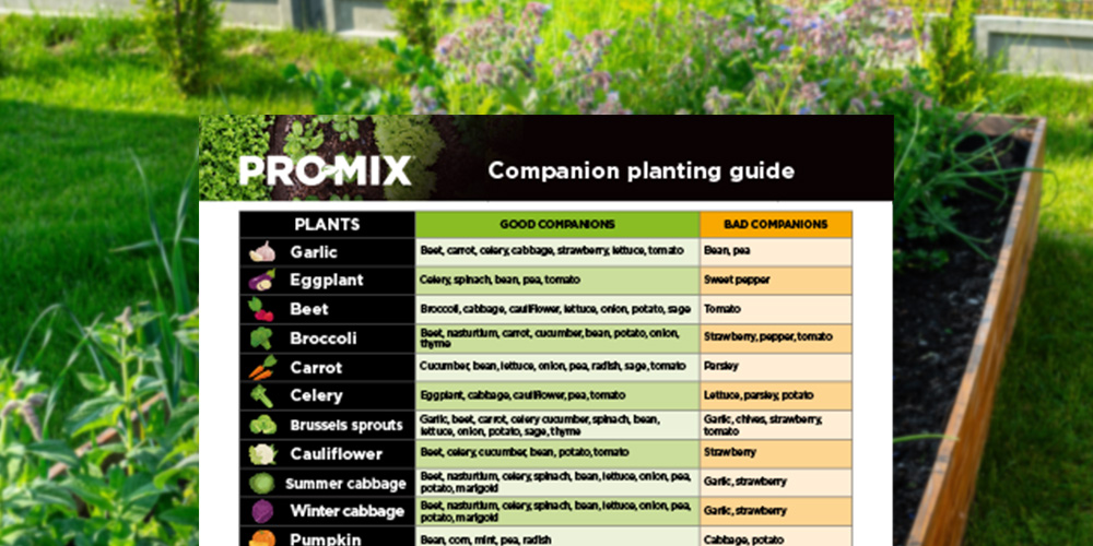 Wilson-solutions-ecologiques-pour-le-jardin-et-le-potager-04-En Wilson-solutions-ecologiques-pour-le-jardin-et-le-potager-04