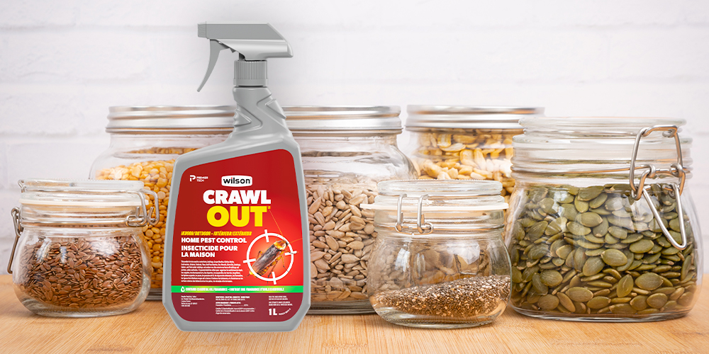 Wilson Crawl OUT insecticides for crawling insects in the pantry.