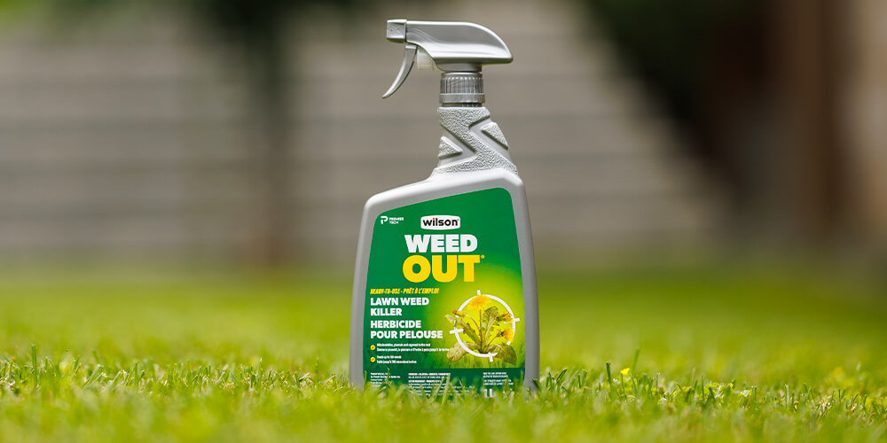 wilson-mauvaises-herbes-prevenir-et-agir-05