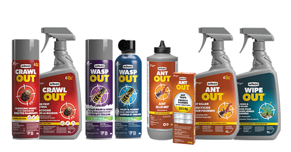 Line-up of Wilson's major product lines. From left to right, Crawl out, wasp out, ant out and wipe out