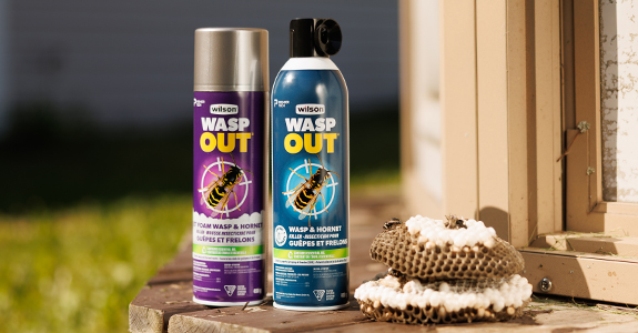 wilson-website-promo-banner-wasp out