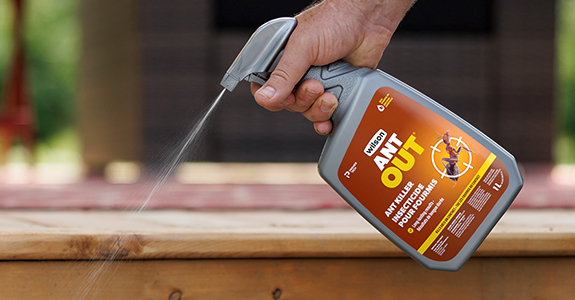 wilson-website-promo-banner-antout
