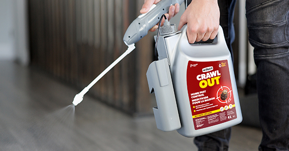 wilson-website-promo-banner-crawlout