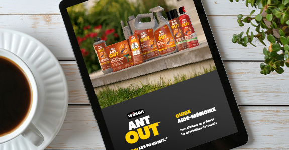 guide aide-memoire ant out