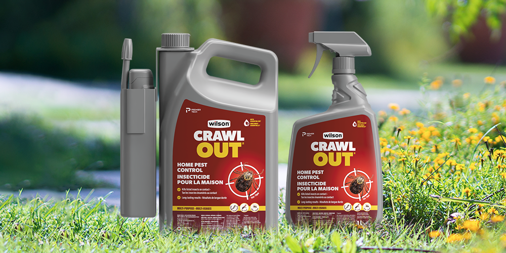 wilson-protect-family-pets-from-ticks-05