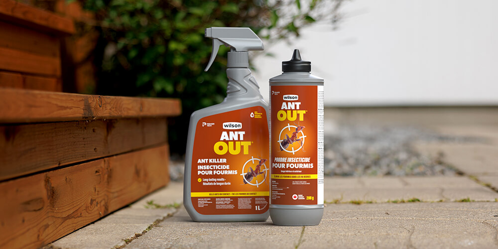 wilson-how-to-get-rid-of-ants-in-garden-beds-09-en