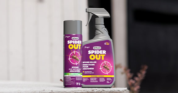 wilson-website-promo-banner-spiderout