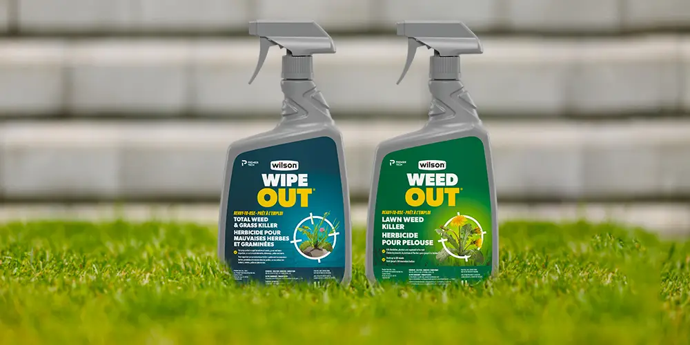Wilson's WIPE OUT and WEED OUT, eco-friendly herbicide container on a green lawn in front of a concrete block wall.