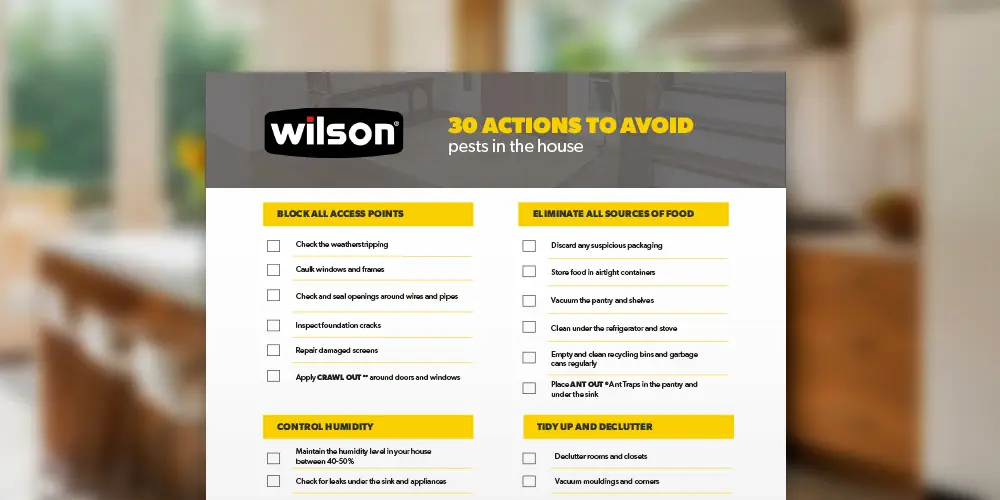 wilson-comment-lutter-contre-les-insectes-En