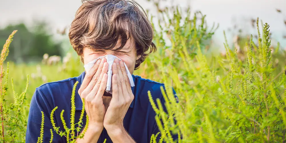 Boy with watery eyes and a runny nose due to a cold, hay fever, in a field of ragweed.