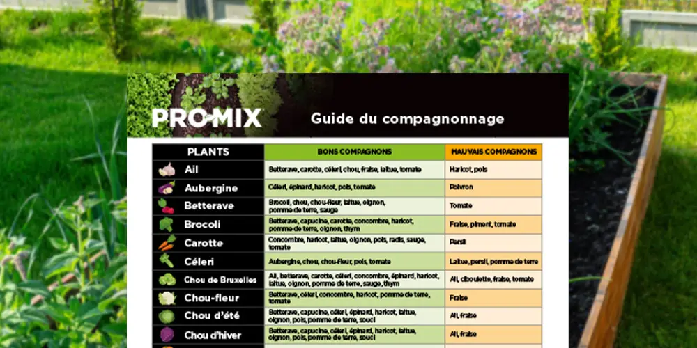 PRO-MIX Guide du compagnonnage au jardin