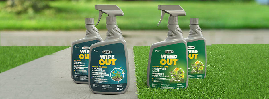 wilson-to-every-weed-problem-a-solution