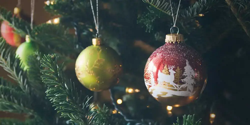 How to prevent the presence of insects in your Christmas tree