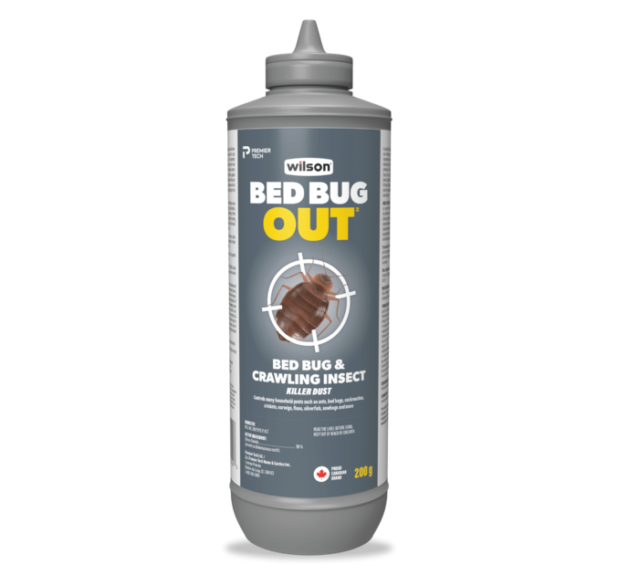 Poudre insecticide pour punaises de lit et insectes rampants BED BUG OUT de  Wilson