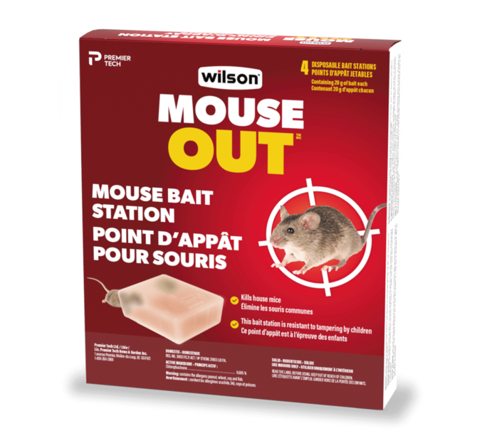 Best and Effective Way to Catch Mice by Wilson Control