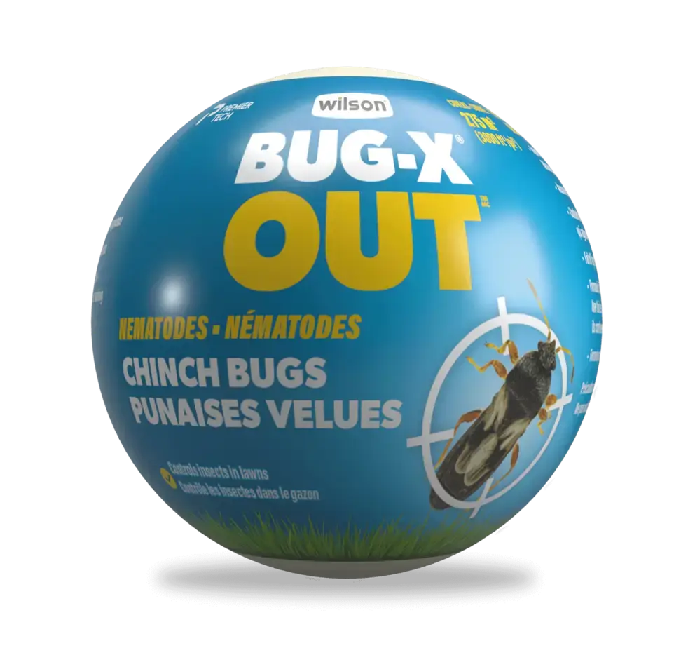 Wilson BUG-X OUT Chinch Bug Nematodes
