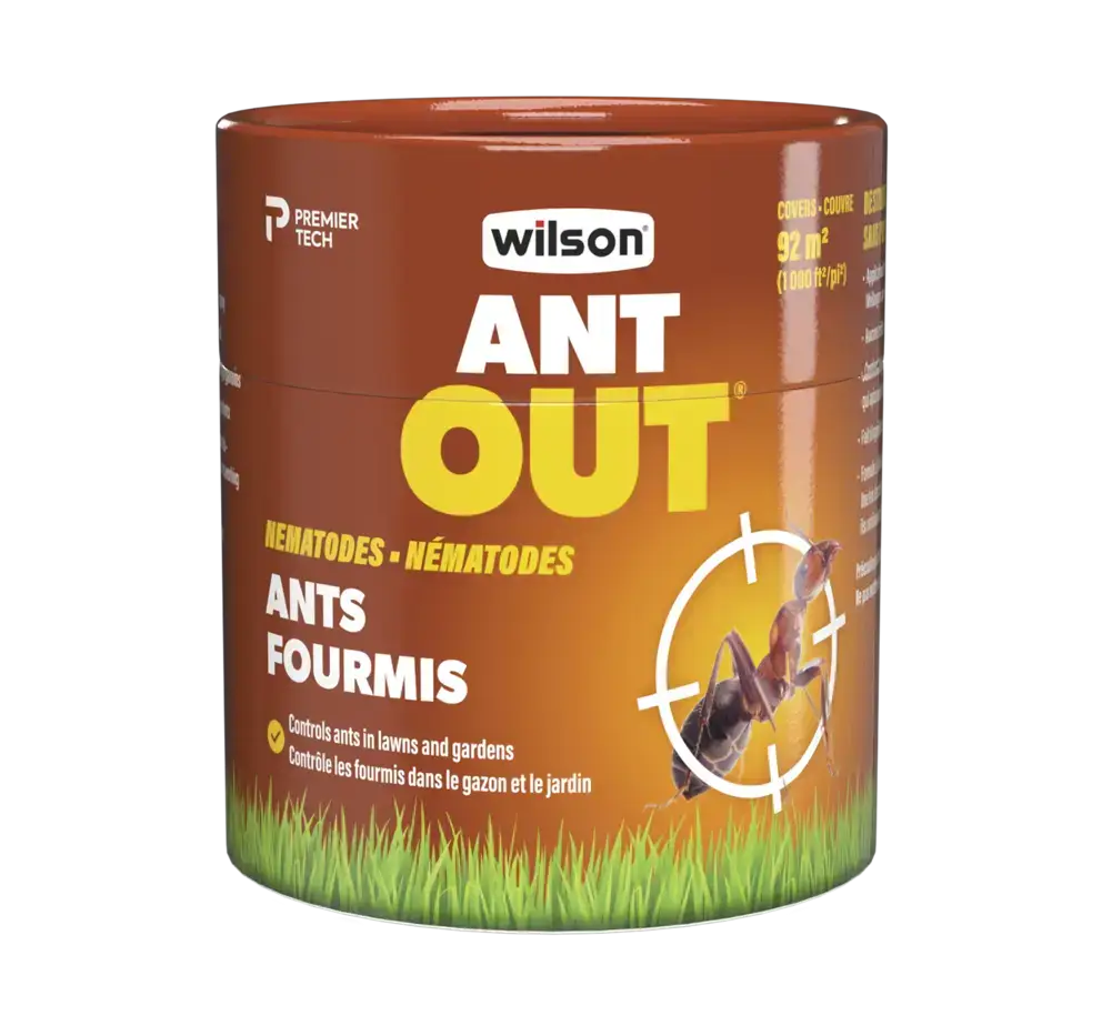 wilson-ant-out-nematodes-ants