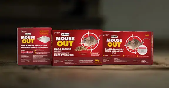 wilson-website-promo-banner-mouseout1