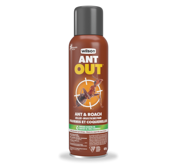 ANT OUT Ant & Roach Killer controls insects indoors and outdoors