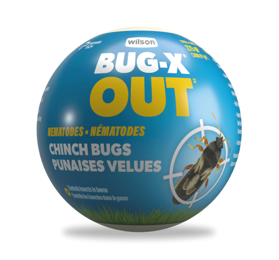 Wilson BUG-X OUT Chinch Bug Nematodes