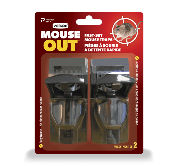 Control Rodent Infestation with the Wilson Mouse Baits