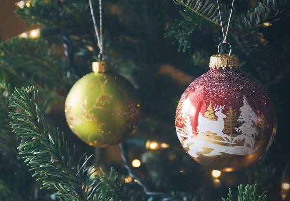 How to prevent the presence of insects in your Christmas tree