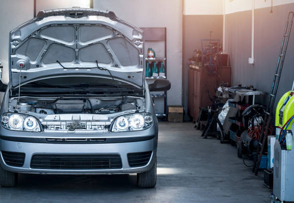 How to protect your car from mice and rats