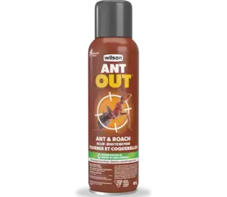 ANT OUT Ant & Roach Killer controls insects indoors and outdoors