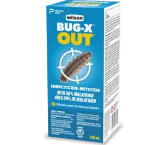 BUG-X OUT Insecticide Miticide is a broad-spectrum insecticide spray controlling more than 20 insects