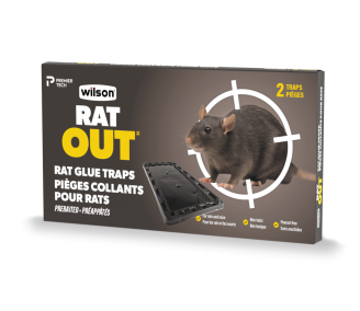 Get Rid of Rodents In a Flash with Wilson's Fast Rat Trap