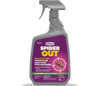 Wilson SPIDER OUT Ready-to-use Spider Killer spray kills spiders instantly