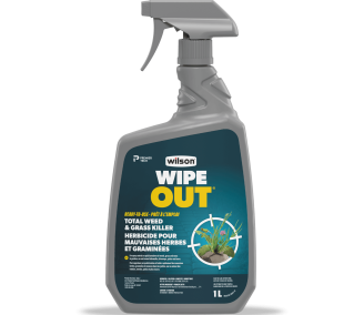 Utiliser l'herbicide pour mauvaises herbes et graminées WIPE OUT de Wilson sur les patios et les allées