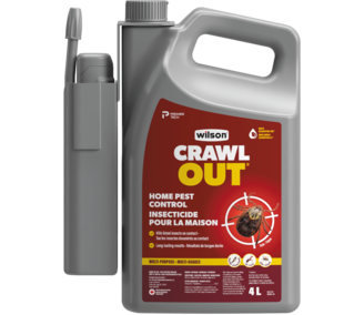 wilson-product-crawlout-4L-img-01