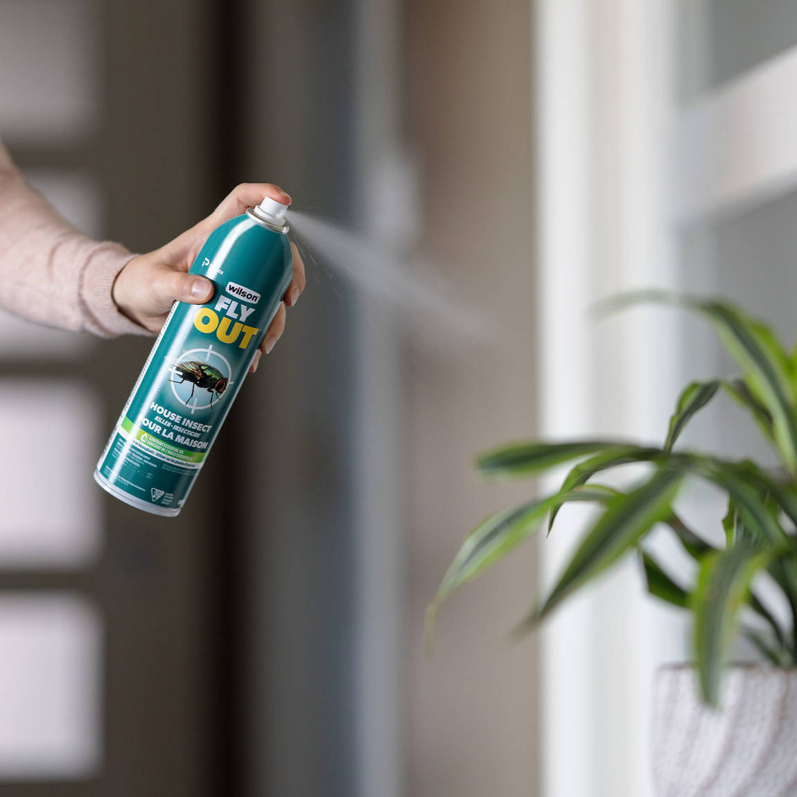 Insecticide Pour La Maison Fly Out De