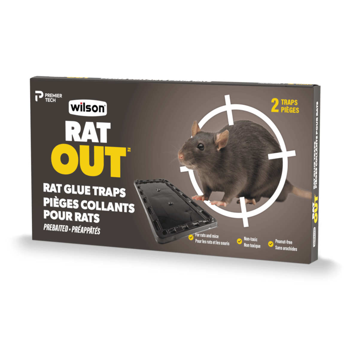 Catch Mice Roaming in Your House with Wilson Glue Traps