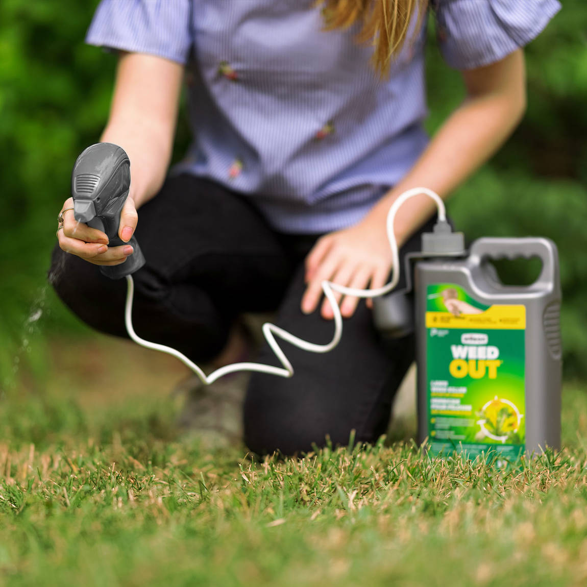 Appliquer par petits jets de l'herbicide WEED OUT pour humecter le feuillage des mauvaises herbes