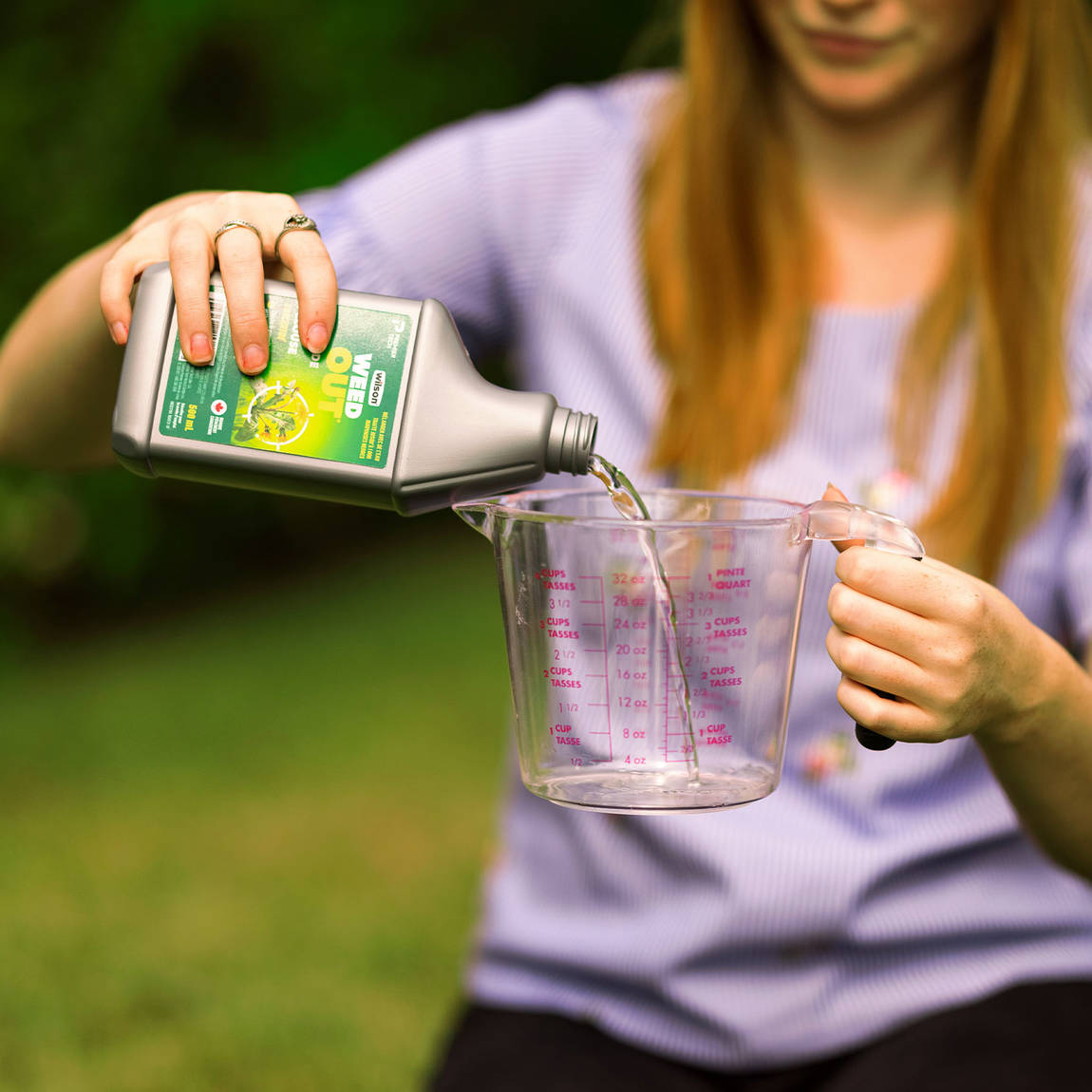 Herbicide pour mauvaises herbes et graminées avec pulvérisateur à piles  WIPE OUT de Wilson