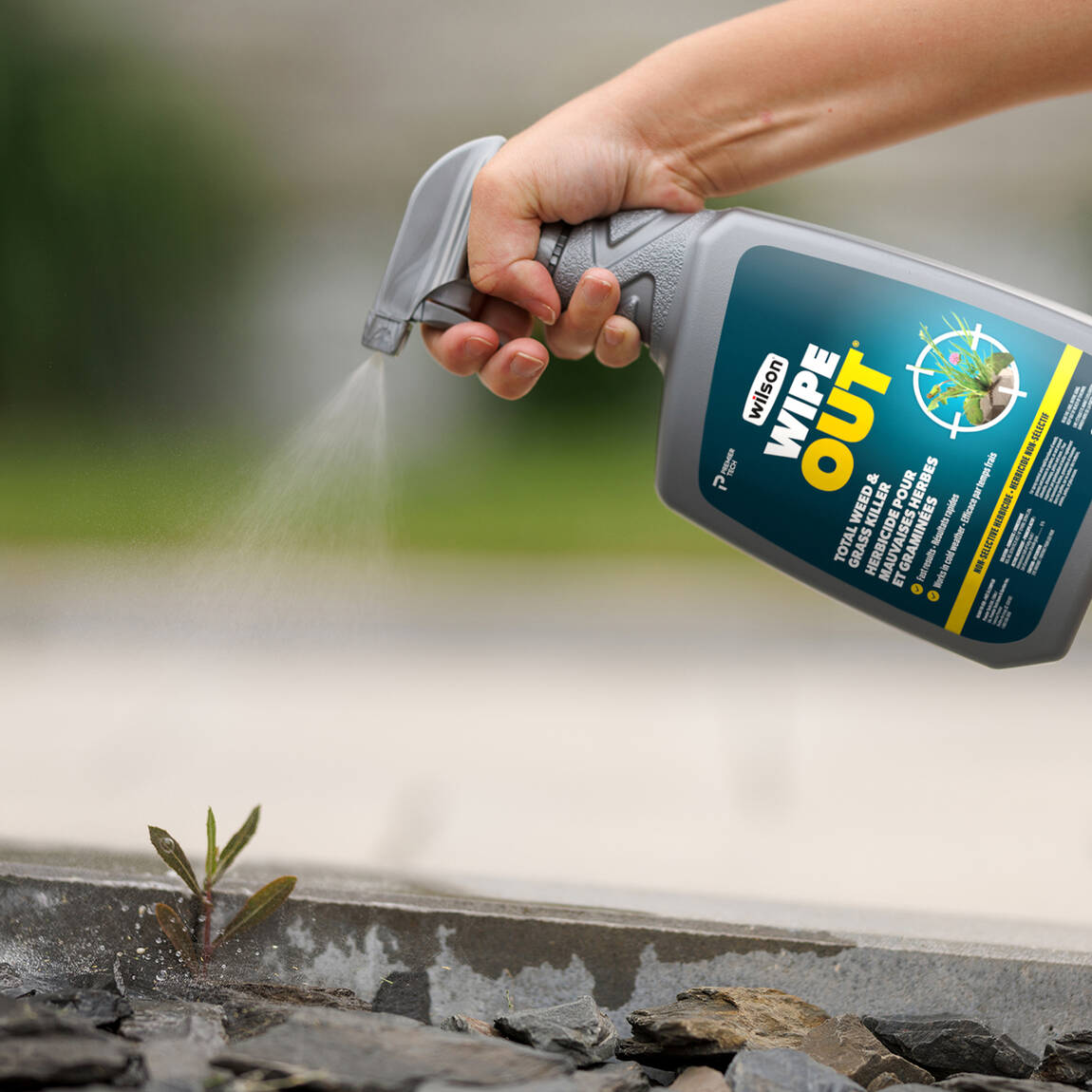 Herbicide pour mauvaises herbes et gramines WIPE OUT de Wilson | Wilson  Control