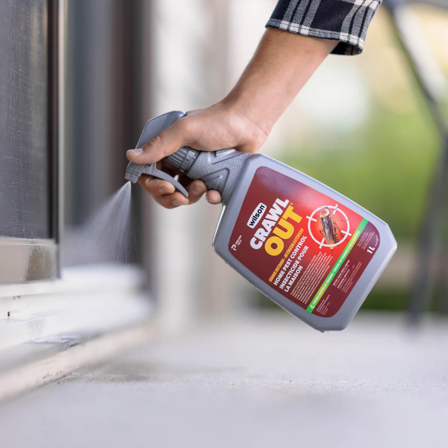 Get Rid Of Ant Invasions Easily For Up To 3 Months With Wilson Control Gel