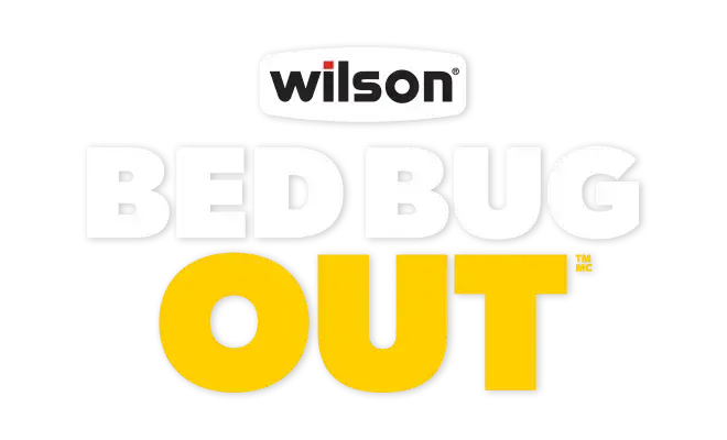 BED BUG OUT logo