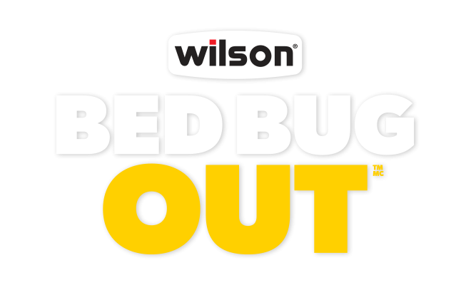 BED BUG OUT logo