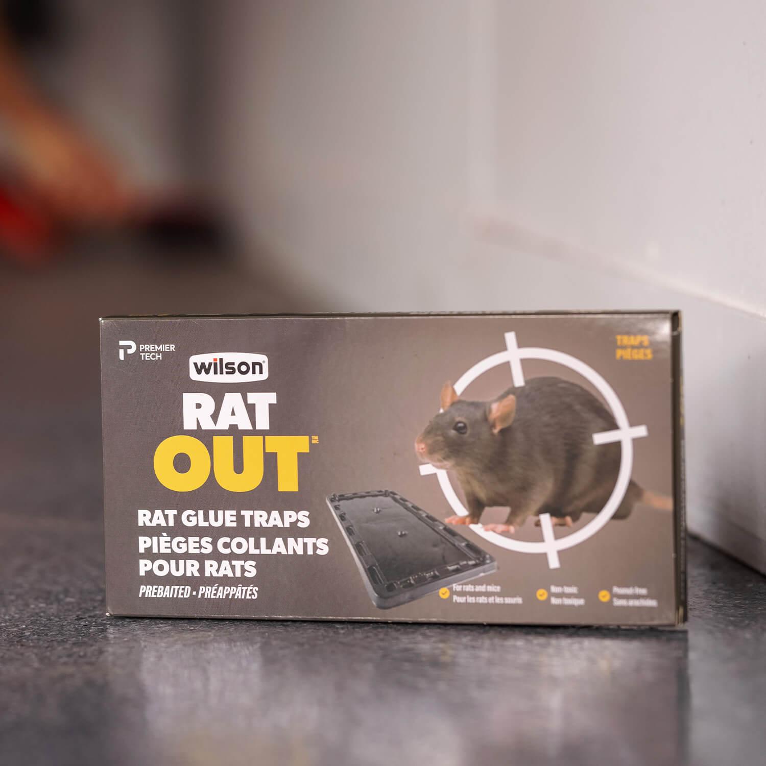 No More Mice: Use Wilson Control Fragranced Glue Traps