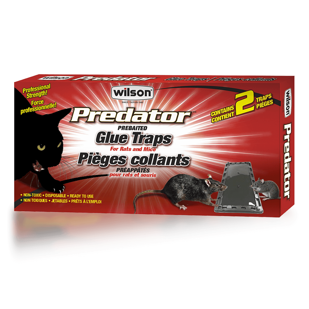 predator mouse trap