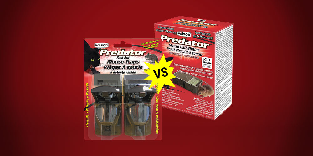 predator mouse trap