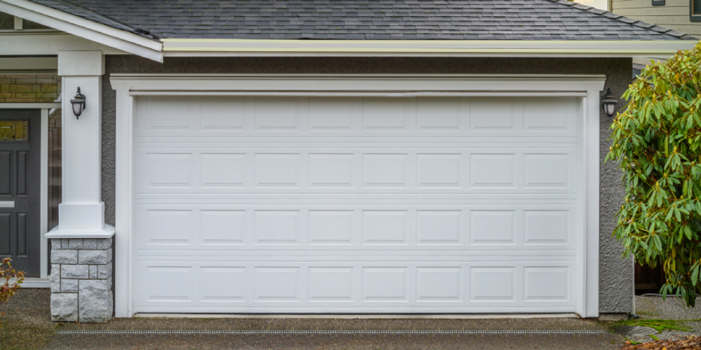 How to protect your home from rodents
